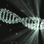 DNA / DNS Aufbau und Struktur einfach erklärt