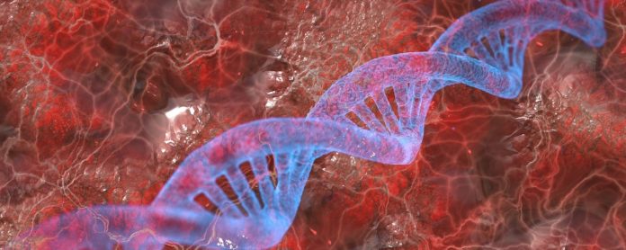Eigenschaften des genetischen Codes & Beispiele-2 Eigenschaften des genetischen Codes & Beispiele
