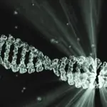 DNA & RNA - was sind die Unterschiede?